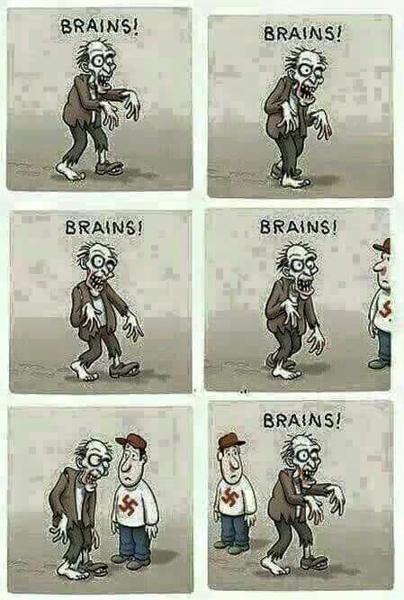 No brain !