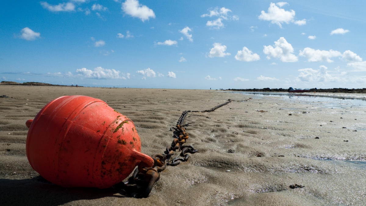 Coût de l’accueil des demandeurs d’asile : une goutte d’eau dans l’océan des paradis fiscaux – DaarDaar